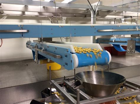 food grade screw conveyor|food grade conveyor manufacturers.